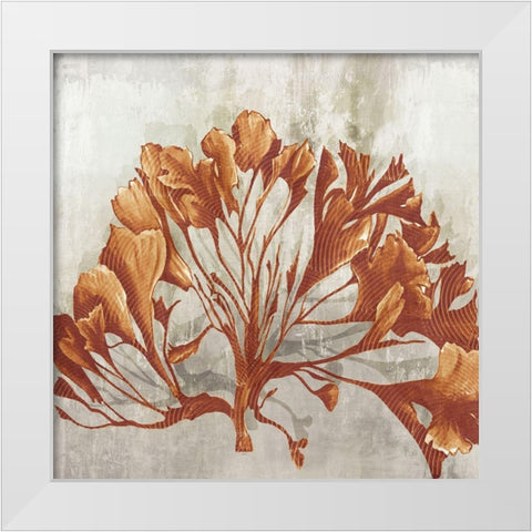 Rustic Coral II  White Modern Wood Framed Art Print by Watts, Eva