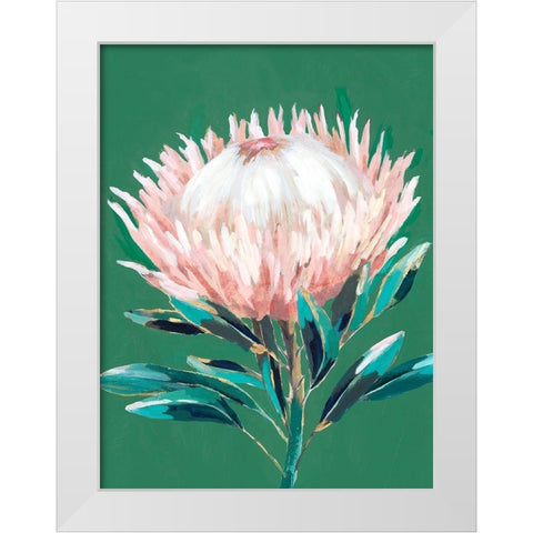 Single King Protea  White Modern Wood Framed Art Print by Isabelle Z