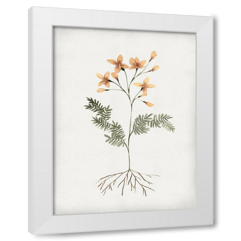 Rooted Floral II White Modern Wood Framed Art Print by Isabelle Z