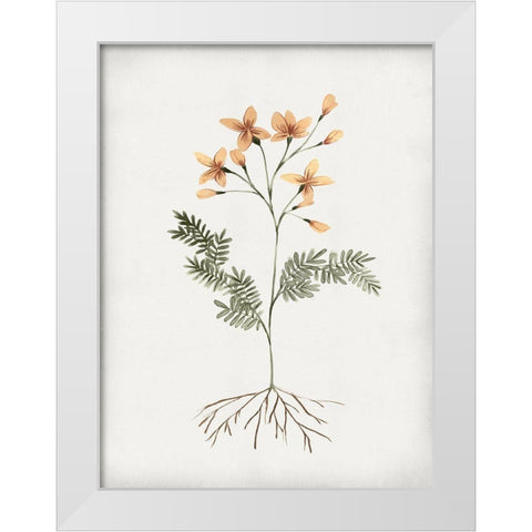 Rooted Floral II White Modern Wood Framed Art Print by Isabelle Z