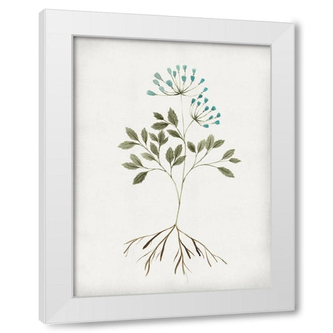 Rooted Floral III White Modern Wood Framed Art Print by Isabelle Z