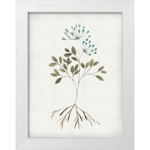 Rooted Floral III White Modern Wood Framed Art Print by Isabelle Z