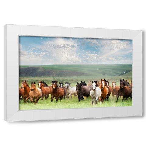 Horse Stampede White Modern Wood Framed Art Print by Lane, Georgianna