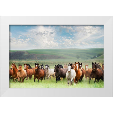 Horse Stampede White Modern Wood Framed Art Print by Lane, Georgianna