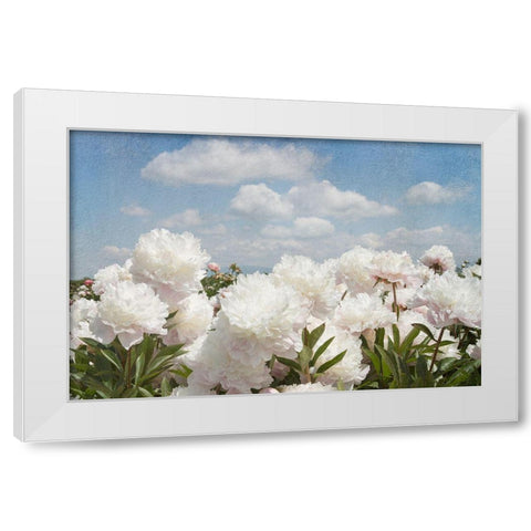 Peonie Sunshine I White Modern Wood Framed Art Print by Lane, Georgianna