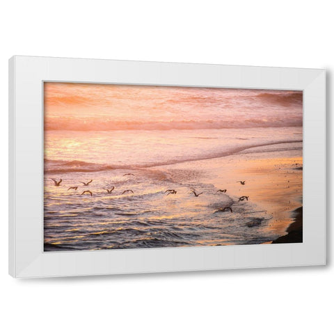 Ocean Beach and Sunset Seagulls White Modern Wood Framed Art Print by Nature Magick