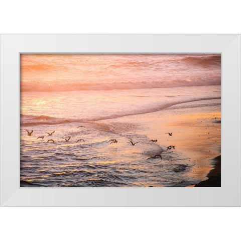 Ocean Beach and Sunset Seagulls White Modern Wood Framed Art Print by Nature Magick