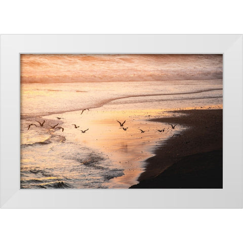 Sunset Seagulls and Pacific Ocean II White Modern Wood Framed Art Print by Nature Magick