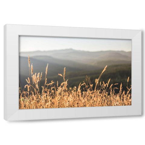 Mountain and Fall Fields White Modern Wood Framed Art Print by Nature Magick