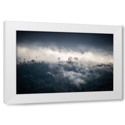 Fir Trees in the Forest Fog Blue White Modern Wood Framed Art Print by Nature Magick