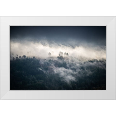 Fir Trees in the Forest Fog Blue White Modern Wood Framed Art Print by Nature Magick