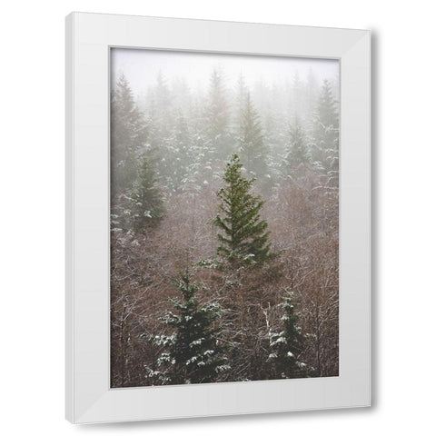 Forest Fog Winter Snow White Modern Wood Framed Art Print by Nature Magick