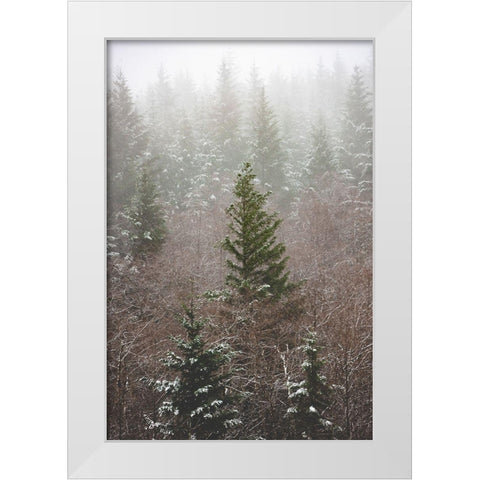 Forest Fog Winter Snow White Modern Wood Framed Art Print by Nature Magick