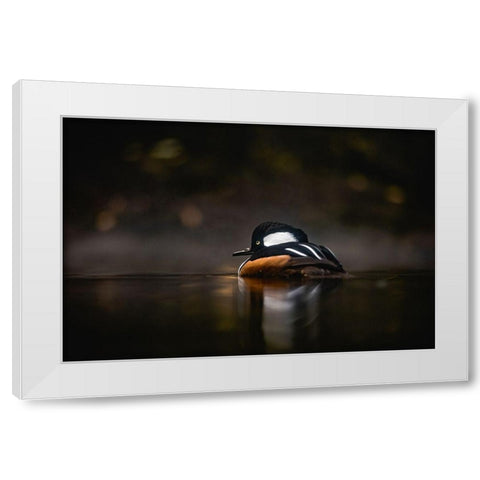 Pacific Northwest Duck Lake Reflection White Modern Wood Framed Art Print by Nature Magick