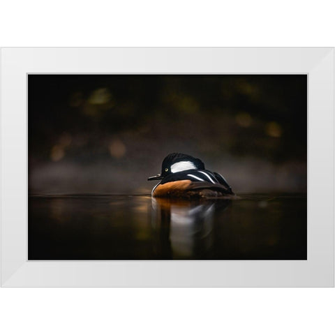 Pacific Northwest Duck Lake Reflection White Modern Wood Framed Art Print by Nature Magick