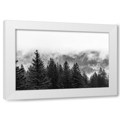 Clouds in the Forest Black and White White Modern Wood Framed Art Print by Nature Magick