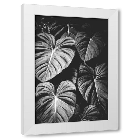Monstera Leaves Jungle Black and White Tropical White Modern Wood Framed Art Print by Nature Magick