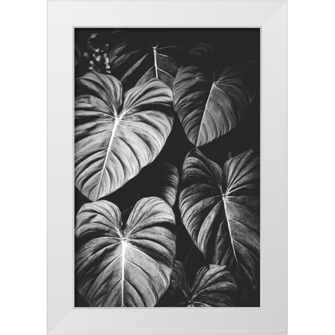 Monstera Leaves Jungle Black and White Tropical White Modern Wood Framed Art Print by Nature Magick
