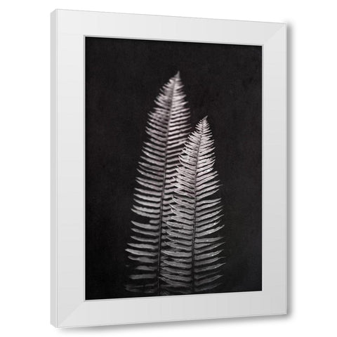 Black and White Forest Ferns White Modern Wood Framed Art Print by Nature Magick