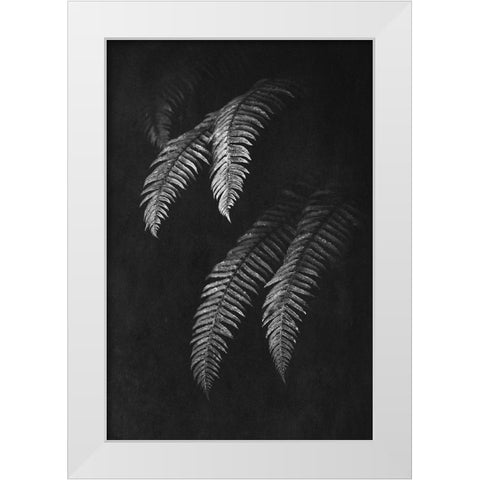 Black and White Forest Ferns II White Modern Wood Framed Art Print by Nature Magick
