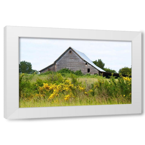 Summer Barn  White Modern Wood Framed Art Print by Wilson, Gerry