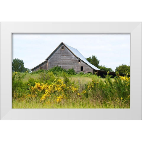 Summer Barn  White Modern Wood Framed Art Print by Wilson, Gerry