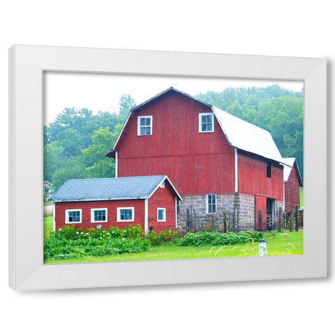 Spring Red Barn  White Modern Wood Framed Art Print by Wilson, Gerry