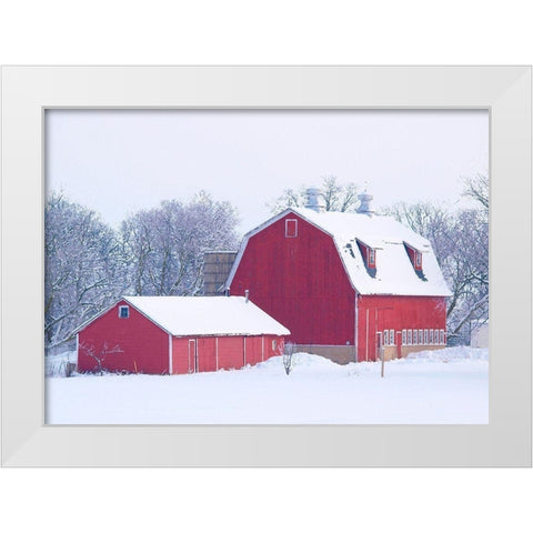Winter Red Barn  White Modern Wood Framed Art Print by Wilson, Gerry