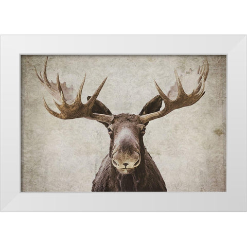 Moose White Modern Wood Framed Art Print by Cook, Natasia
