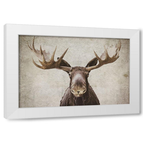 Elmer  White Modern Wood Framed Art Print by Cook, Natasia