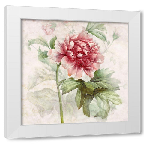 Ruby Floral I  White Modern Wood Framed Art Print by Hunziker, Steve