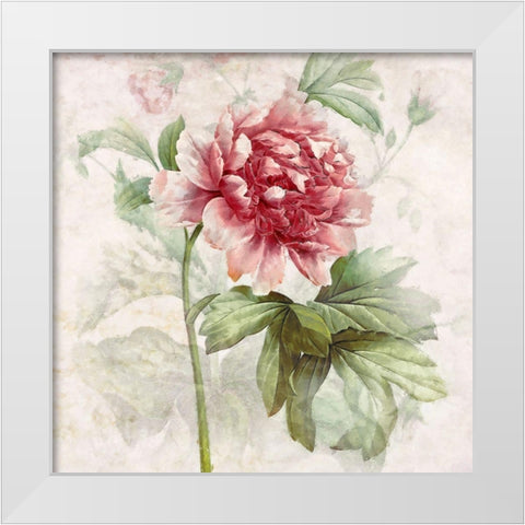 Ruby Floral I  White Modern Wood Framed Art Print by Hunziker, Steve