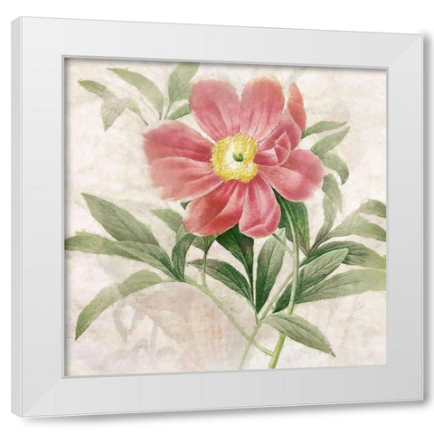 Ruby Floral II White Modern Wood Framed Art Print by Hunziker, Steve