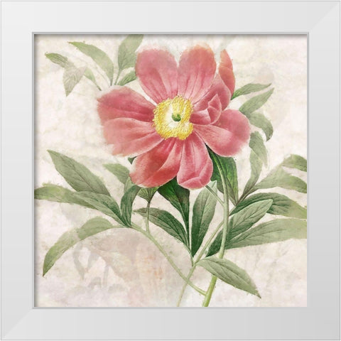 Ruby Floral II White Modern Wood Framed Art Print by Hunziker, Steve
