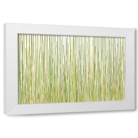Grass Curtain White Modern Wood Framed Art Print by Terra Jungle