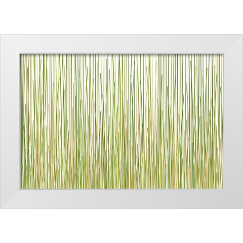 Grass Curtain White Modern Wood Framed Art Print by Terra Jungle