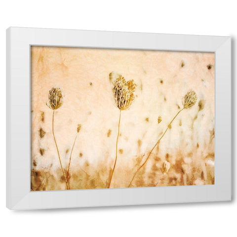 Lace in Autumn  White Modern Wood Framed Art Print by Halli, Hal