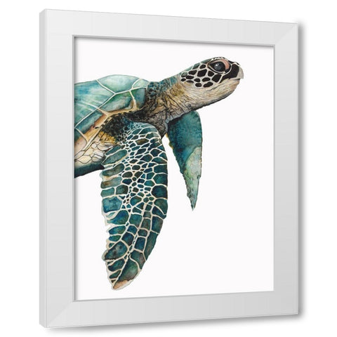 Great Sea TurtleÂ  White Modern Wood Framed Art Print by Hatfield, Jodi