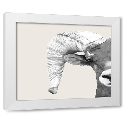 Rambo  White Modern Wood Framed Art Print by Hatfiled, Jodi