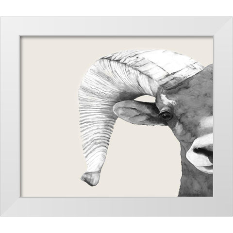 Rambo  White Modern Wood Framed Art Print by Hatfiled, Jodi