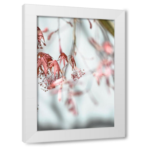 Leaves Palladium White Modern Wood Framed Art Print by Smith, M.