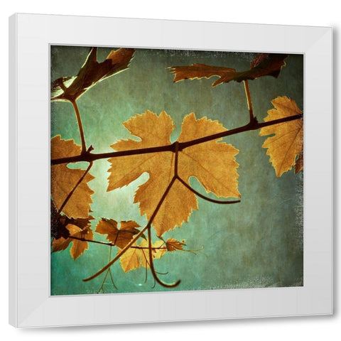 Divine I White Modern Wood Framed Art Print by Harston-Weddle, Ryan