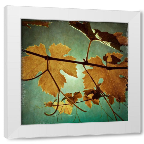 Divine III White Modern Wood Framed Art Print by Harston-Weddle, Ryan