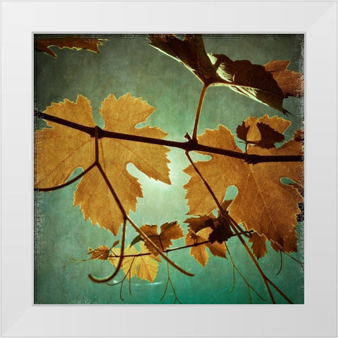 Divine III White Modern Wood Framed Art Print by Harston-Weddle, Ryan