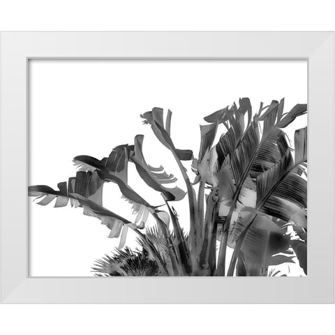 Tropical Velvet II - BW  White Modern Wood Framed Art Print by Hartson- Weddle, Ryan