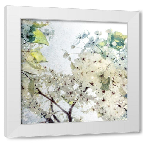 Effloresce White Modern Wood Framed Art Print by Hartson-Weddle, Ryan