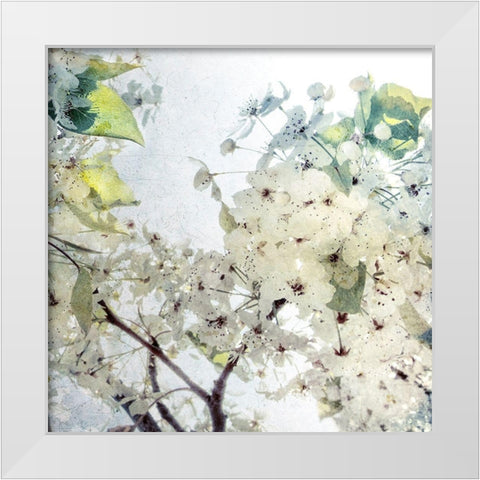 Effloresce White Modern Wood Framed Art Print by Hartson-Weddle, Ryan