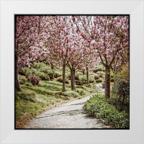 Virtues II White Modern Wood Framed Art Print by Weddle, Ryan Harson