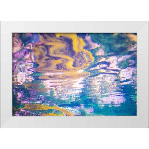 Aquatica II  White Modern Wood Framed Art Print by Hartson-Weddle, Ryan