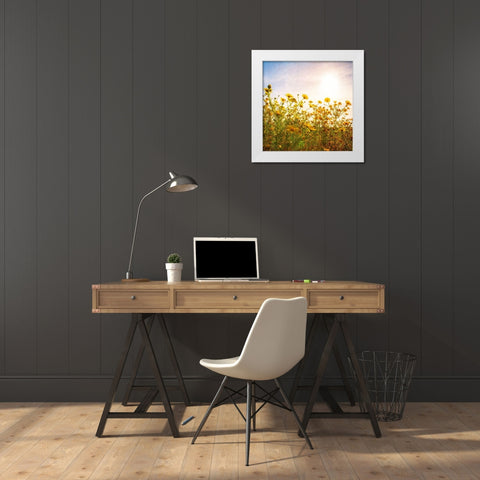 Sun Reacher  White Modern Wood Framed Art Print by Weddle, Ryan Hartson